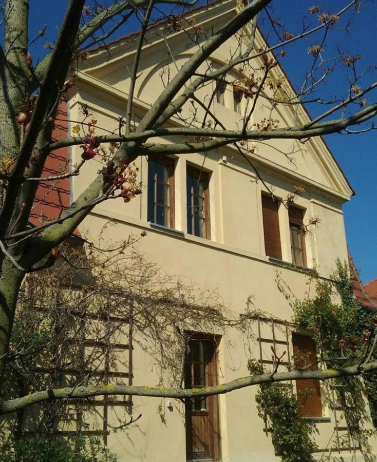 Haus Schmeile 马格德堡 外观 照片
